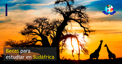 Becas para estudiar en Sudáfrica