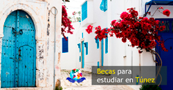 Becas para estudiar en Túnez